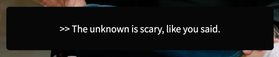 Sentence-by-sentence subtitle box